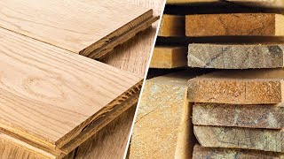 Hardwood vs Softwood  Difference Between Hardwood and Softwood [upl. by Kursh]