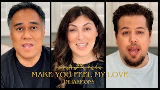 InHarmony  Make You Feel My Love Cover Song [upl. by Lednyc]