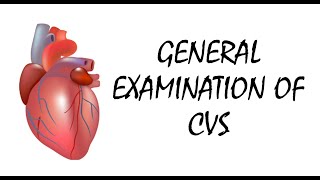 General Examination of Cardiovascular System  CVS [upl. by Aisinoid]