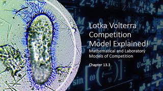 Lotka Volterra Interspecific Competition Model EXPLAINED [upl. by Anilrac599]