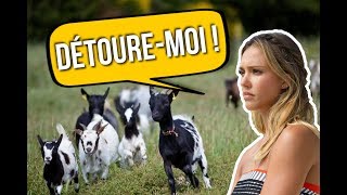 COMMENT DETOURER UNE IMAGEPHOTO FACILEMENT ET GRATUITEMENT SANS PHOTOSHOP [upl. by Thornie]