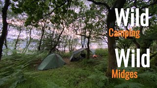 Tent n Tarp Wild Camping Wild Midges Scotland wildcamping scotland [upl. by Nirb]