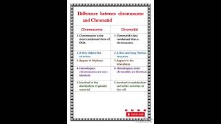 Difference between chromosome and chromatid [upl. by Breena]