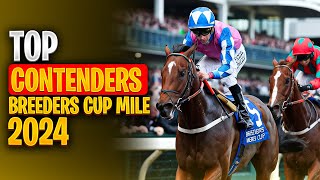 Breeders Cup Mile 2024  Top Contenders You Need to Know [upl. by Irvine]