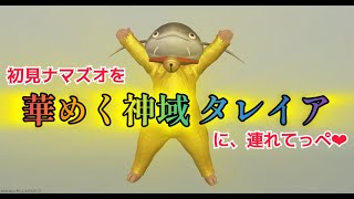 【FF14】初見ナマズオを＂華めく神域 タレイア＂に連れてっぺ❤︎生中継！【LIVE】 [upl. by Kermy]