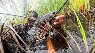 Pescando y cocinando encontramos un lugar con muchos guapotes grandes [upl. by Barber]