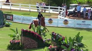 Winning Round 50000 USHJA International Hunter Derby Handy Round [upl. by Socram675]