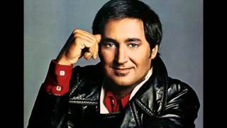 Neil Sedaka  quotBad And Beautifulquot 1976 [upl. by Naivaj]