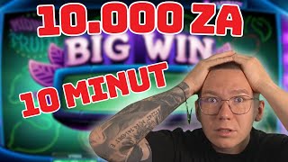 ❗️Z 2000 na 12k jak NIC na MIDNIGHT FRUIT🔥 STARCASINO [upl. by Garling]