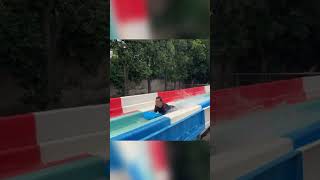 Ultimate Water Slide Water Park Fun City Chandigarh shorts trending viral [upl. by Utica]