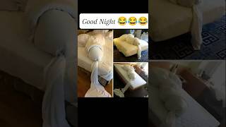 Good Night everyone 🤣🤣🤣😂😂😂🐸 shorts foryou short RtvEntertainment CarryMinati comedy [upl. by Mutz]