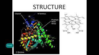 Cytochrome P450 Structure and Mechanism Xenobiotic metabolism [upl. by Igic]