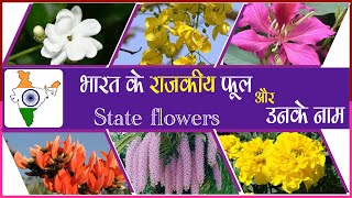 भारत के राज्यकीय पुष्पों की सूची  Know The Name ampIdentify The State Flowers Of Each Indian State [upl. by Ardnalak]