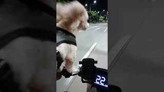 Episode 2 26OCT2024 Saturday Night Ride Braun Loves Adventure on a Honda Sundiro S08 Ebike [upl. by Helsie]