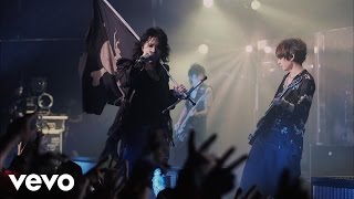 VAMPS  THE JOLLY ROGER from live at Zepp Tokyo 2015 [upl. by Purdum268]