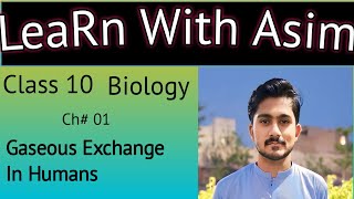 Gaseous exchange in humans  Biology 10th chap1  Exchange of gases in humans [upl. by Aneba455]