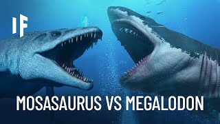 What If the Megalodon Shark Fought the Mosasaurus [upl. by Nallaf]