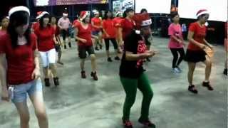 Rudolf The Rednosed Reindeer line dance [upl. by Bernita667]