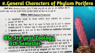 General characteristics of phylum Porifera in hindi  BSc 3rd year Zoology 5th Semester [upl. by Hicks13]