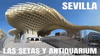 LAS SETAS DE SEVILLA Y EL ANTIQUARIUM [upl. by Bubb800]