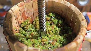 Making a White Wine from Grapes [upl. by Enotna]