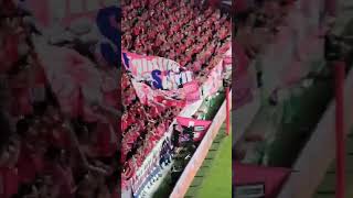 quotVamos Osakaquot Cerezo Osaka Chant [upl. by Mori]