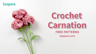 How to Crochet Carnation Beginners Tutorial amp Free Pattern [upl. by Lymn]