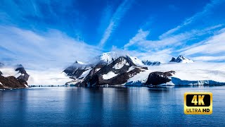 Unveiling the Mysterious World of Antarctica Exclusively in 4K 4k 4knature [upl. by Shorter]