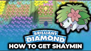 HOW TO GET SHAYMIN IN BDSP [upl. by Annauqal]