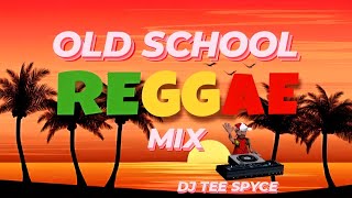 Old School Reggae Juggling  Sanchez Frankie Paul Garnett Silk Freddie McGregor Reggae Mix 2024 [upl. by Freda]