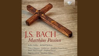 Matthäus Passion BWV 244 Pt 1 Jesus Despair on the Mount of Olives XIV Recitative [upl. by Ramaj]