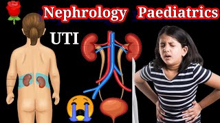 UTI urinary tract infection Nephrology Paediatrics 🛑 3d nephrology [upl. by Ainer]