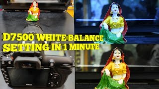 HOW TO SET Nikon D7500 PERFECT WHITE BALANCE SETTING IN 1 MINUTE [upl. by Vivian]