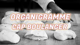 Organigramme CAP boulanger [upl. by Ahsilif]