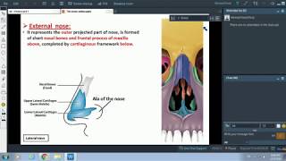 Anatomy of the Nose  Dr Ahmed Farid [upl. by Roter]