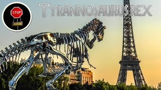 FAQ Tyrannosaurus rex [upl. by Sev]