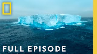 Antarctica Home at the End of the Earth Full Episode  Incredible Animal Journeys [upl. by Alyosha]