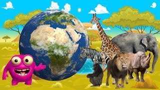 Kids Learn Jungle Animals  African Wildlife Comes Alive  Mighty Morphin Learning [upl. by Atworth805]