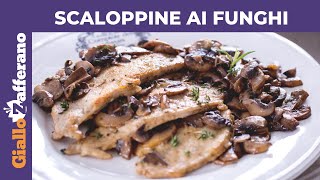 SCALOPPINE AI FUNGHI CREMOSE RICETTA FACILE E VELOCE [upl. by Anerroc]