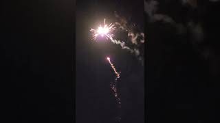 Cobalt Bomb 36 shots  Brothers Firework [upl. by Machute]