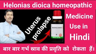 Helonias dioica homeopathic medicine  Helonias mother tincture  Helonias dioica 30Helonias 200 [upl. by Netsua699]