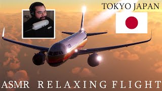 ASMR Relaxing Sunset Flight Flight Simulator [upl. by Iot565]