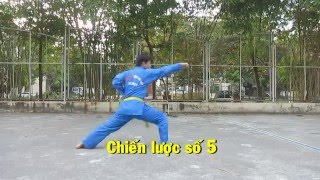 Chiến Lược số 1 2 3 4 5  Vovinam Việt Võ Đạo [upl. by Restivo]