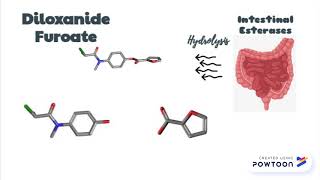 Diloxanide Furoate MOA [upl. by Analli]