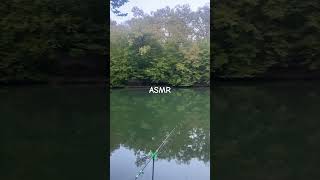 ASMR LAKE asmr nature fyp [upl. by Annaira]