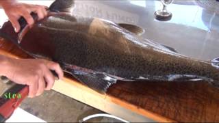 How to fillet a Salmon [upl. by Cornelius17]