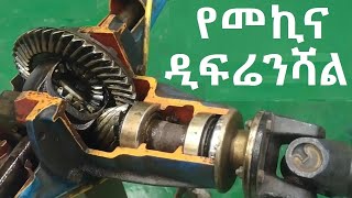 የመኪና ዲፍሬንሻል ክፍሎች እና አሠራር Car differential parts and operation [upl. by Carleton]