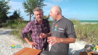 Grilled Snapper  Gulf Coast Seafood  Recipes [upl. by Drawyeh]