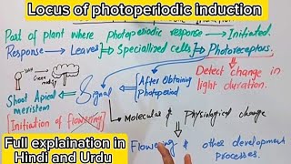 Locus of photoperiodic inductionPlant Physiology physiology [upl. by Zeena]