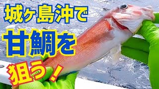 【甘鯛釣り】誘いが決め手！城ヶ島沖で狙う｜仕掛け・エサ｜2024825 [upl. by Darton]